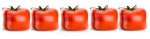 Square-tomatoes-4_web